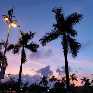 业余自由 场景 剪辑 视频
