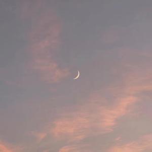 业余自由 场景 剪辑 视频
