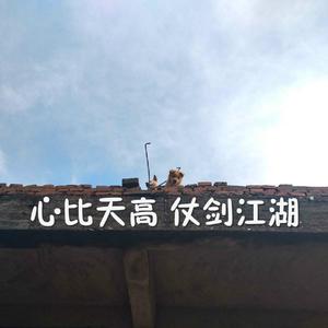 业余自由 场景 剪辑 视频
